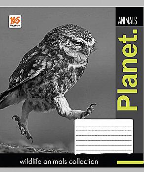 Зошит 24 кл. YES Wildlife animals-17, 760940 (0950) Зошит 24 кл. YES Wildlife animals-17, 760940 (0950)
