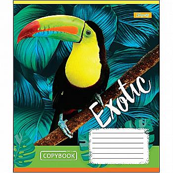 Зошит 12 лін. 1В Exotic Animal, 764473 Зошит 12 лін. 1В Exotic Animal, 764473