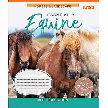 Зошит 12 кос. 1В Horses, 764819 Зошит 12 кос. 1В Horses, 764819