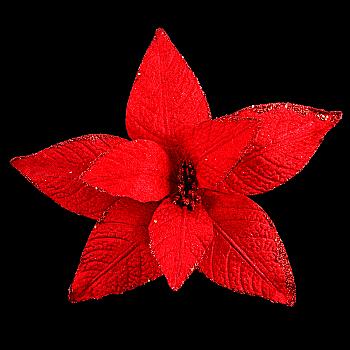 Пуансеттія 20 см з кліпом, червона 750249