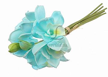 Орхідея декоративна, блакитна, 51-14498