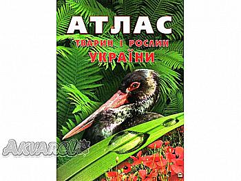 Книга "Энциклопедии: Атлас животных и растений Украины" (у) (3210)