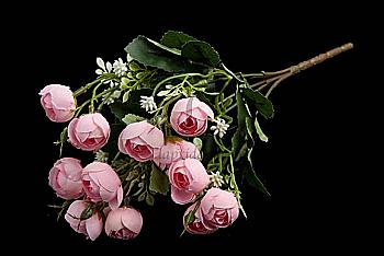 Троянди декоративні, 5-53339