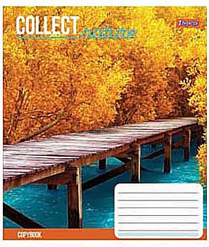 Зошит 60 лін. 1В Natur -17, 760029 (8088) Зошит 60 лін. 1В Natur -17, 760029 (8088)