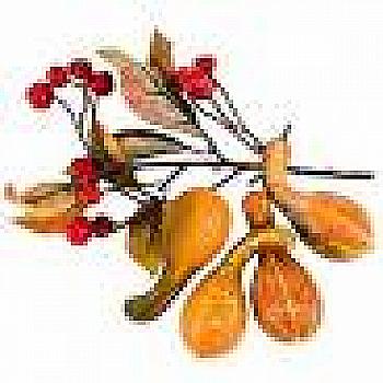 Набор для декора "Тыква/Ягоды" (5 шт., пластик, 20 см, оранжевый/красный), 3700247