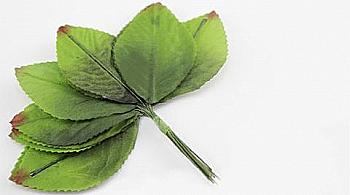 Листочки декоративні, 12 шт, 5-36271