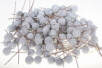 Ягода в сахоре (1,5 см) - 5-27378