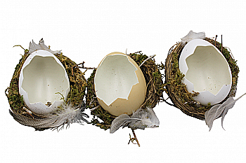 Яйцо пасхальное, 5-61228