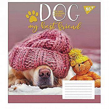 Тетрадь 12 кл. YES Dog friend, 765495