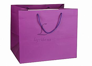 Подарунковий пакет 31*37*26 см, 31-4743