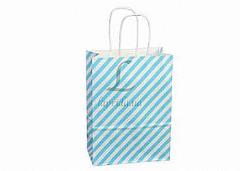 Подарочный пакет 16*22*8 см, 3-1904-106