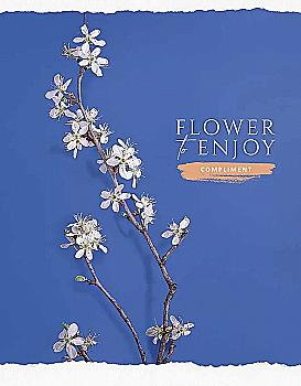 Тетрадь 96 кл. Школярик УФлак (1774)