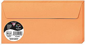 Конверт декоративный Pollen DL (110*220 мм)/120 г, Orange/Оранжевый, 5495C Конверт декоративный Pollen DL (110*220 мм)/120 г, Orange/Оранжевый, 5495C