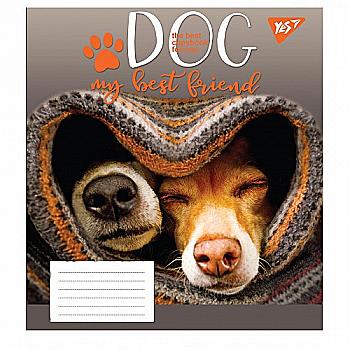 Зошит 24 кл. YES Dog friend, 765528