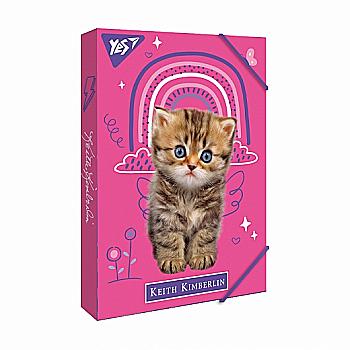 Папка для зошитів картон В5 "Keith Kimberlin", 491952 Yes