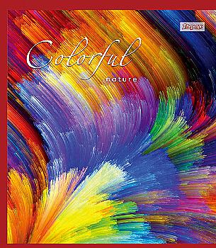Зошит 48 лін. 1В Colorful -17, 760283 (6267) Зошит 48 лін. 1В Colorful -17, 760283 (6267)