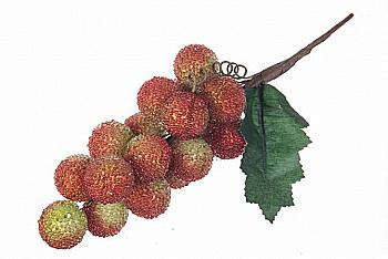 Ягоды декоративные, 5-60436