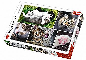 Пазл "1500" - Просто кішки - колаж, Trefl, 26145 Пазл "1500" - Просто кішки - колаж, Trefl, 26145