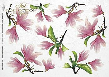 Карта декупажная 21*29,7 см, Цветы магнолии, 25 г/м², R 114 Карта декупажная 21*29,7 см, Цветы магнолии, 25 г/м², R 114