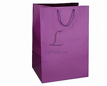 Подарочный пакет 36x54x30 см, 31-4965