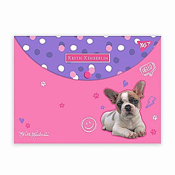 Папка-конверт на кнопці А4 "Keith Kimberlin", 492009 Yes