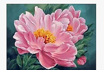 Набір для розпису по номерах 40*50 см "Піон", RA30430 Набір для розпису по номерах 40*50 см "Піон", RA30430