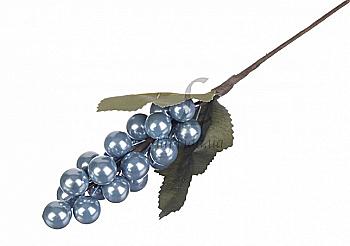 Виноград декоративный "Синий", 5-61686
