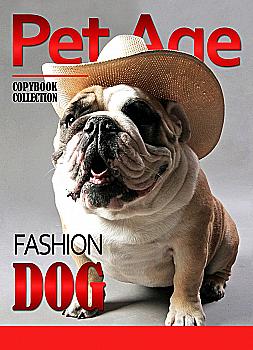 Зошит А4 96 кл. YES скоба Pet age, 891420 (4056)