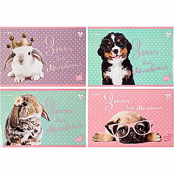 Альбом для малювання 12 арк., скоба, SP, SP20-241