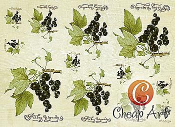 Карта декупажна А4 Чорна смородина 45 г/м², 01686