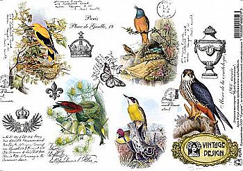 Карта декупажна А4 Музей орнітології, 40 г/м², S 052