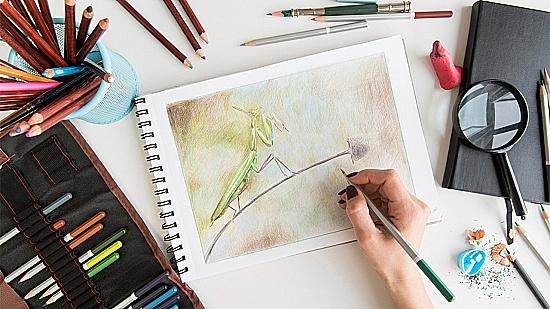 Як обрати скетчбук для малювання: головні критерії та поради експертів