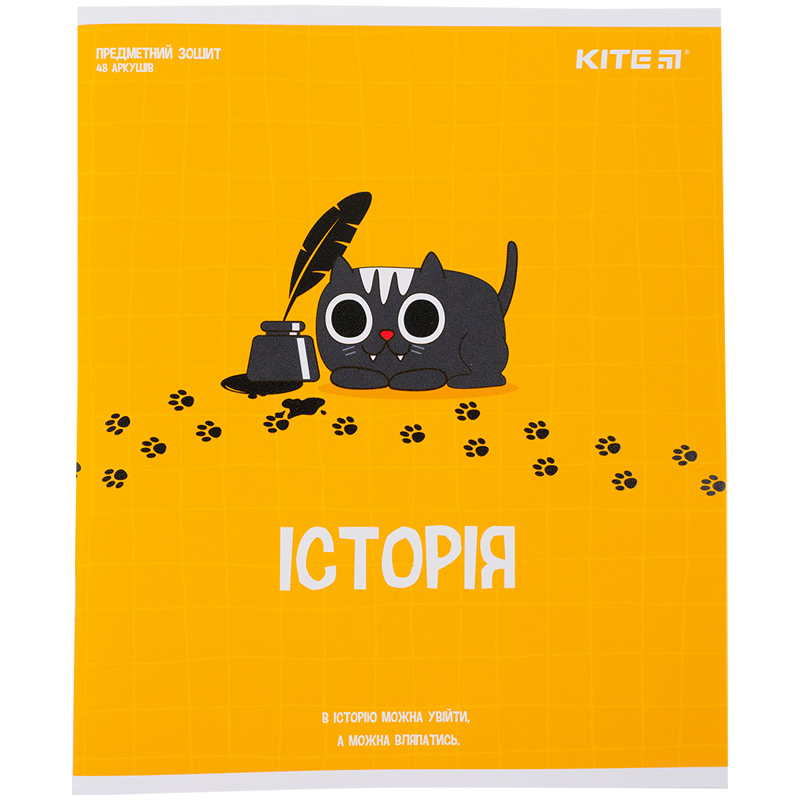 Тетрадь 48 кл, Предметка - История, софт т.гибр л, Cat, K23-240-20