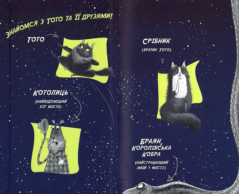 Книга "Тото: Тото. Кн.1. Кошка-ниндзя и большой побег змея" (у) (4310) 2