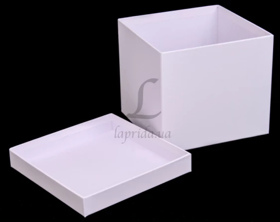 Подарункова коробка квадратна маленька, W741610 білий 1