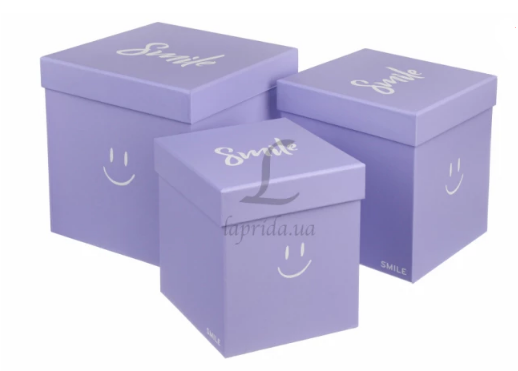Подарункова коробка велика, W5289