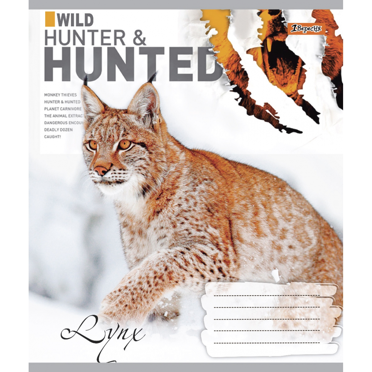Тетрадь 60 кл. 1В Hunted, 766053 4