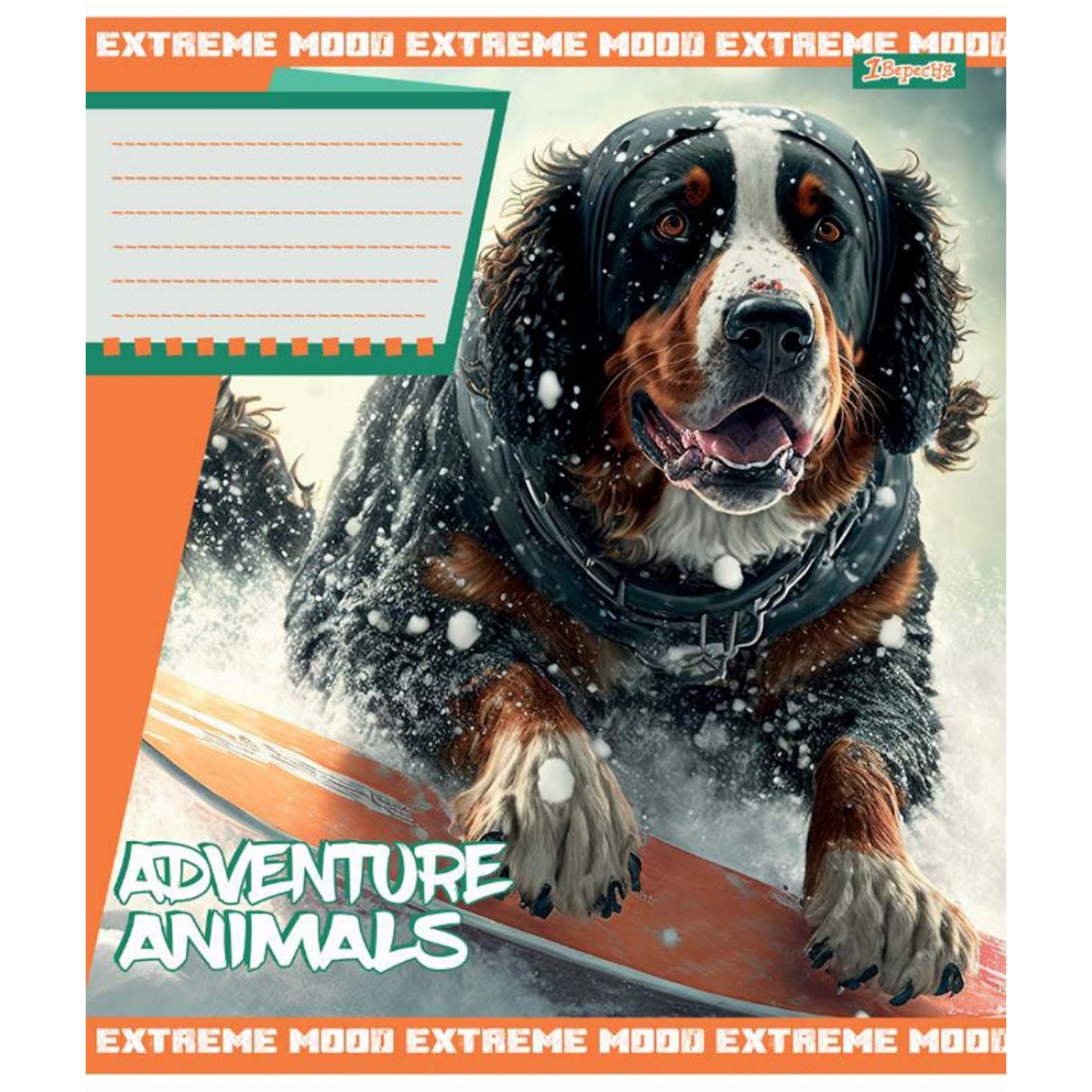 Зошит 24 кл. 1В Adventure animals, 766359 4