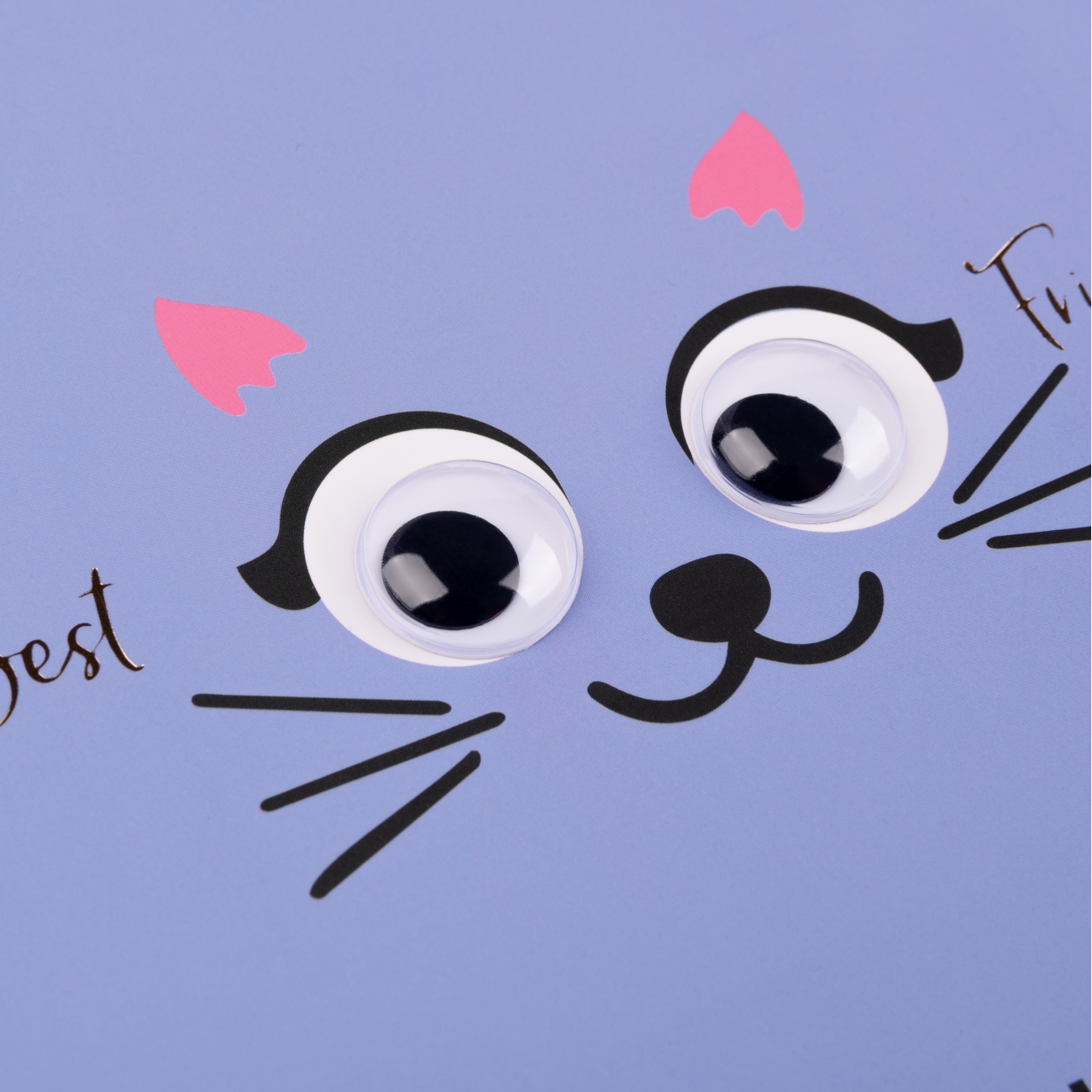 Дневник шк. жесткий (укр.) "Kitty", 911449 Yes 1