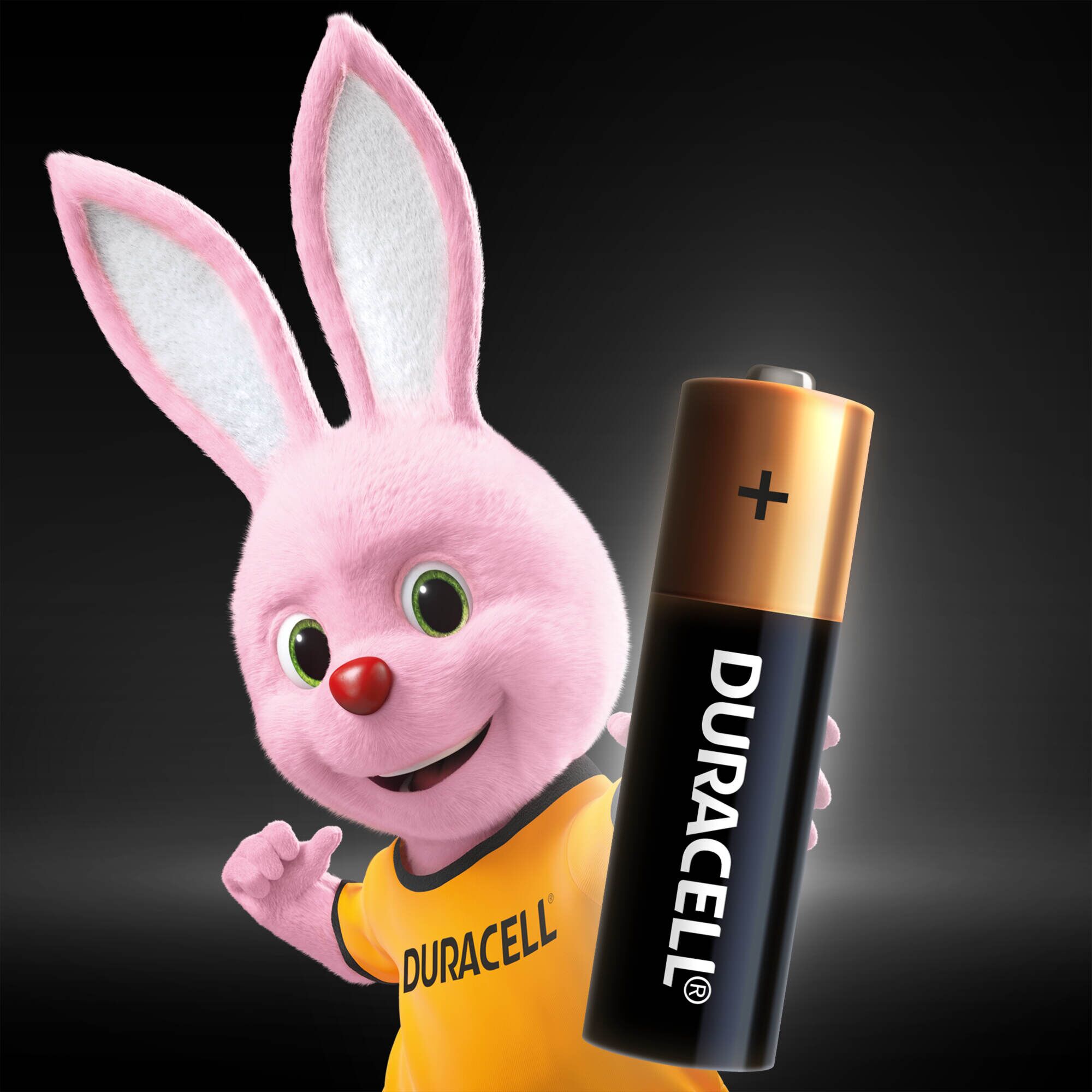 Батарейка DURACELL LR06 MN1500 (4 шт/бл.) ціна вказ. за бл. 2