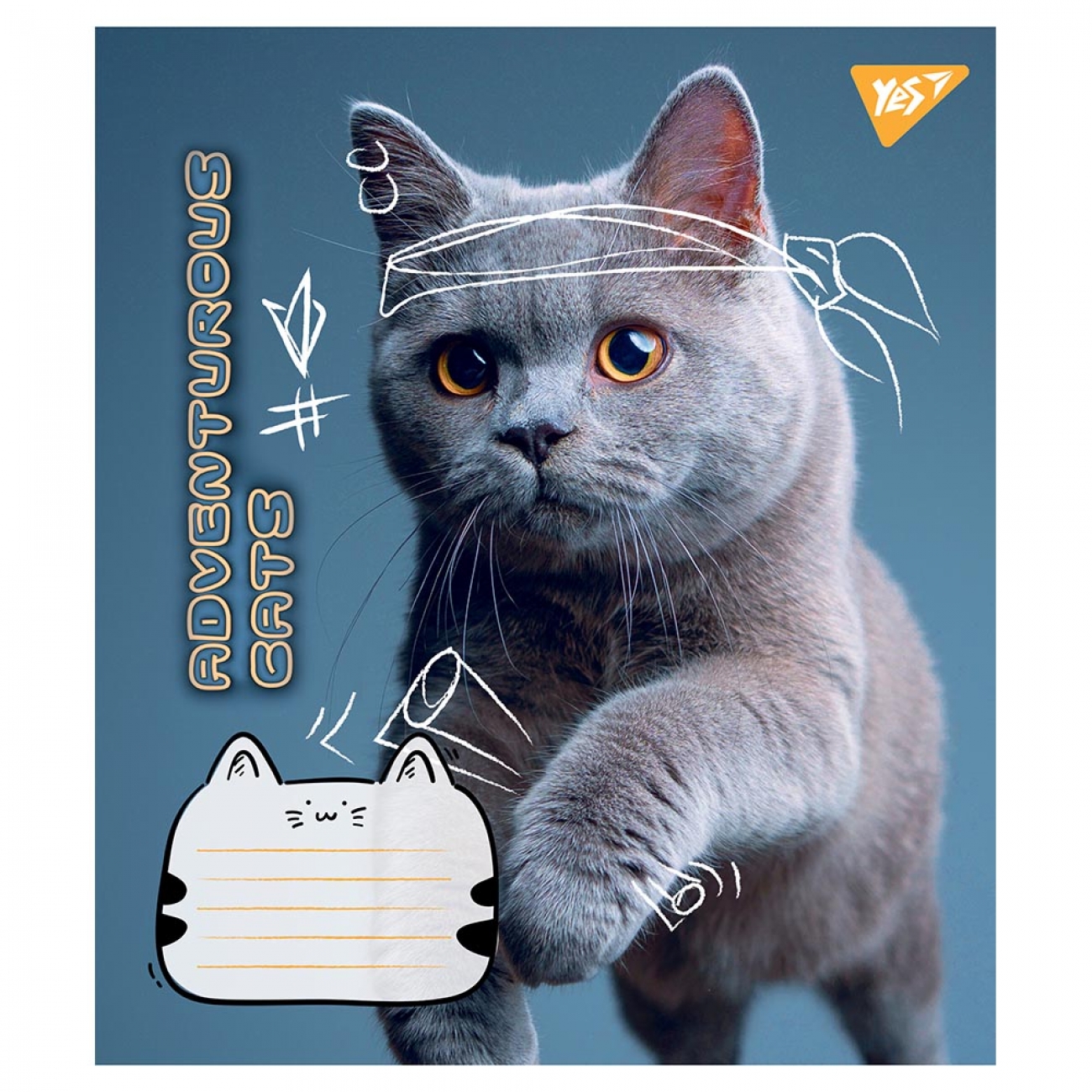 Зошит 24 кл. YES Adventurous cats, 766630 3