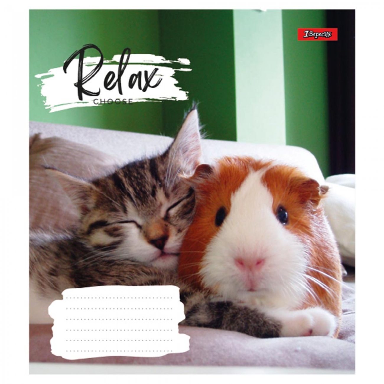 Тетрадь 18 лин. 1В Relax choose, 766596 2