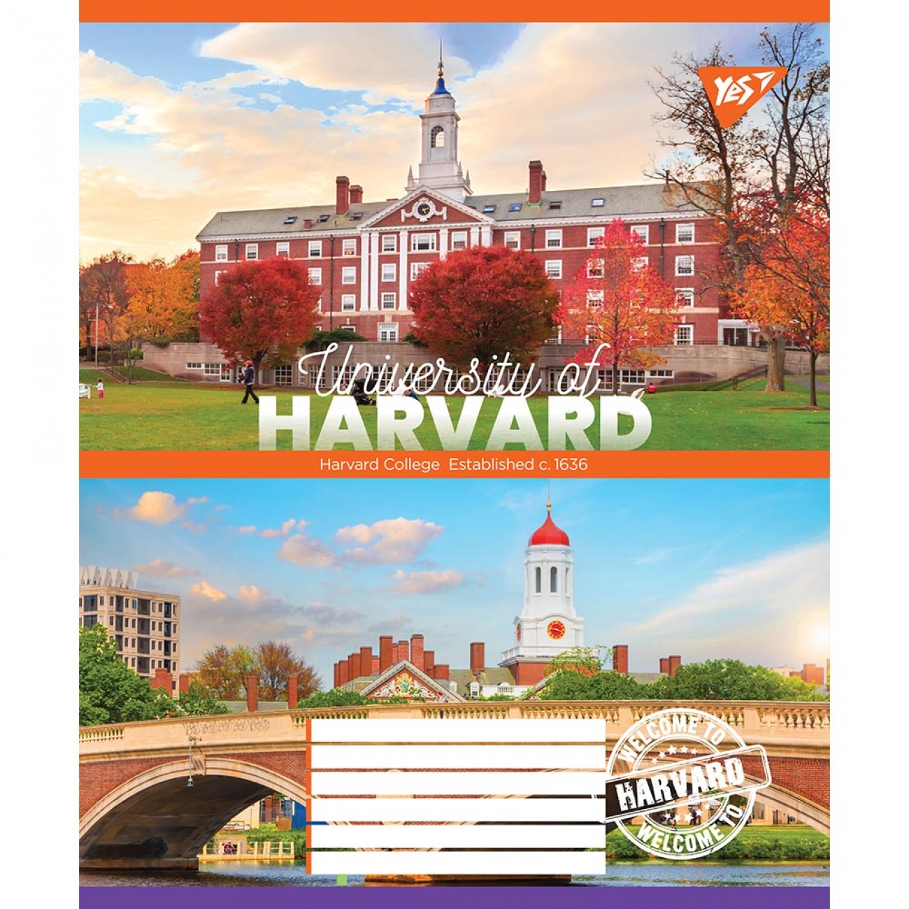 Зошит 48 кл. YES University, 766722 4
