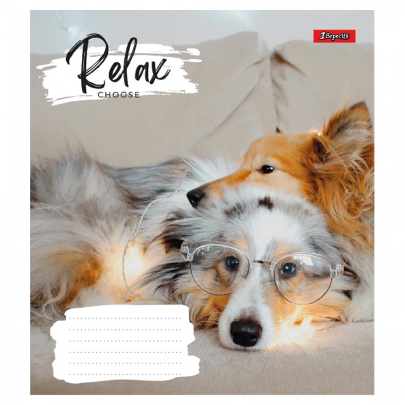 Тетрадь 48 лин. 1В Relax choose, 766727 1