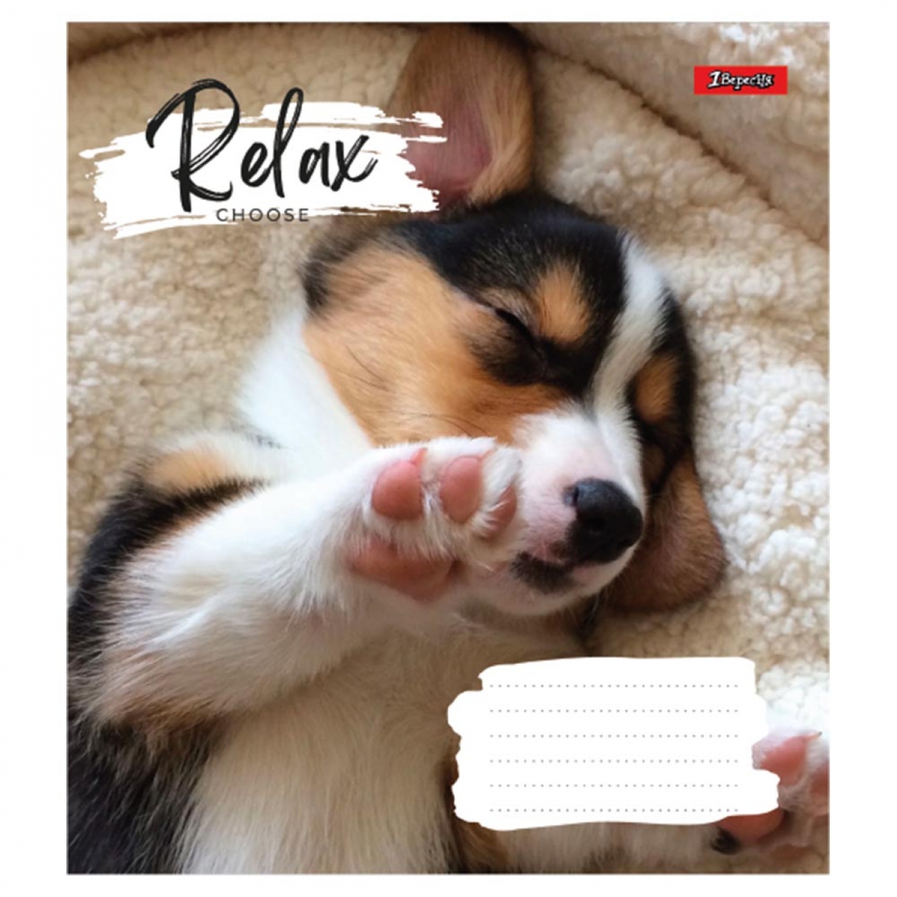 Зошит 48 кл. 1В Relax choose, 766711 3