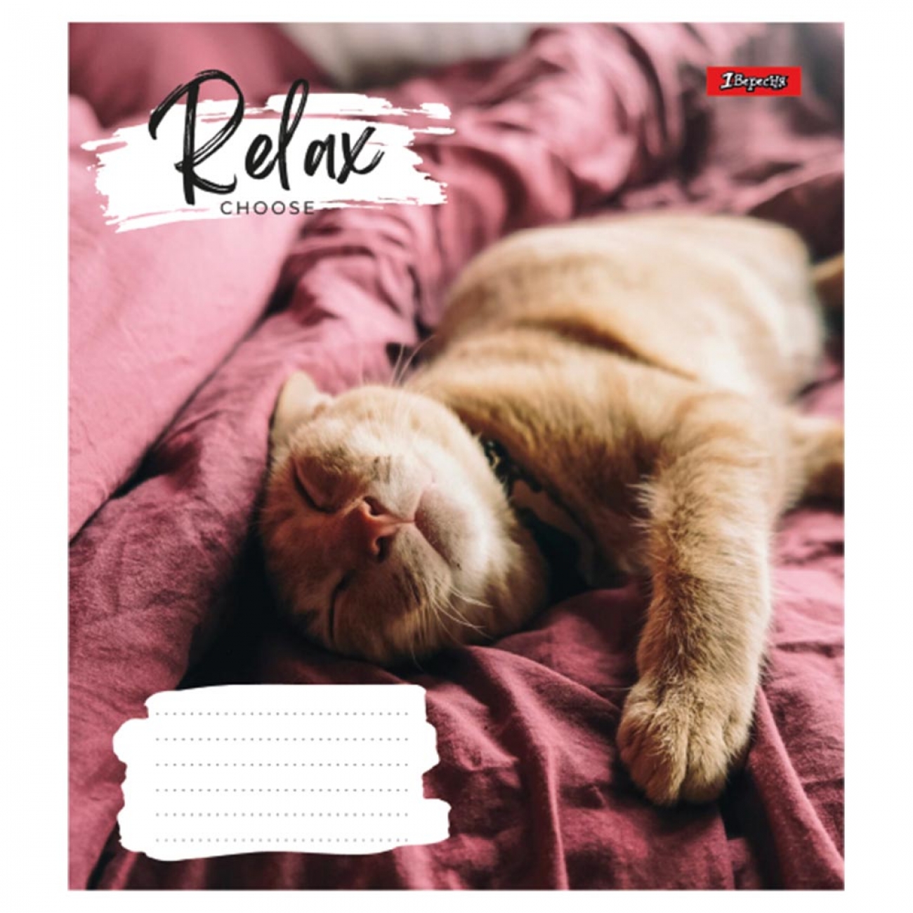 Зошит 48 кл. 1В Relax choose, 766711 4