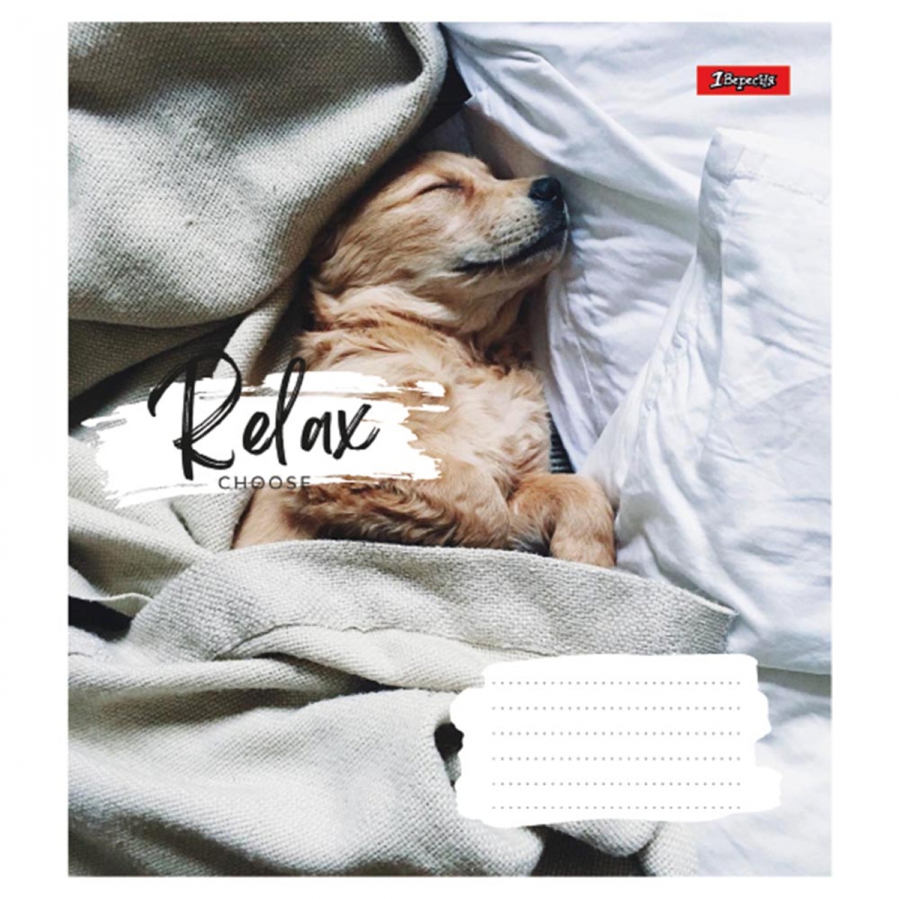 Зошит 48 кл. 1В Relax choose, 766711