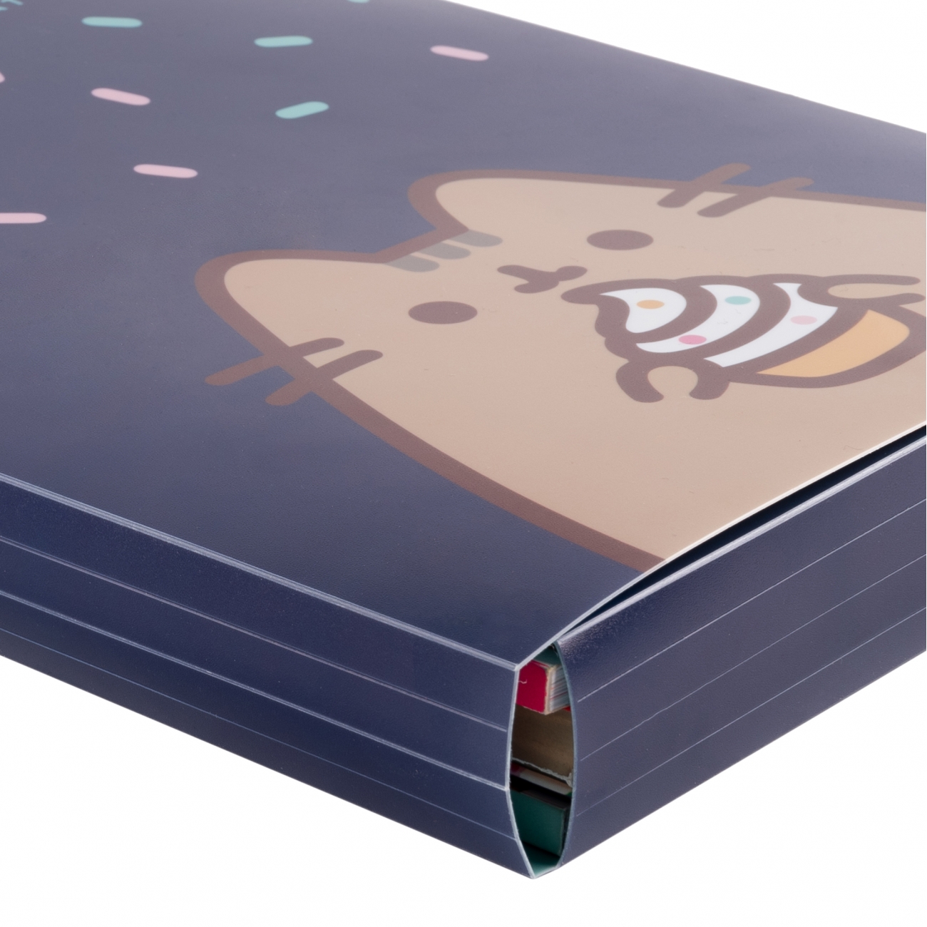 Папка A4 "Pusheen" на гумці, 491946 Yes 2
