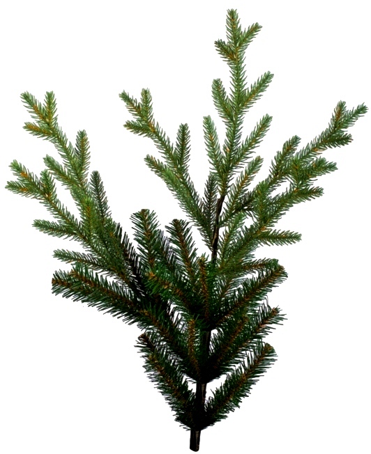 Ялинка "Валерія-2", 3,0 м, С086 1