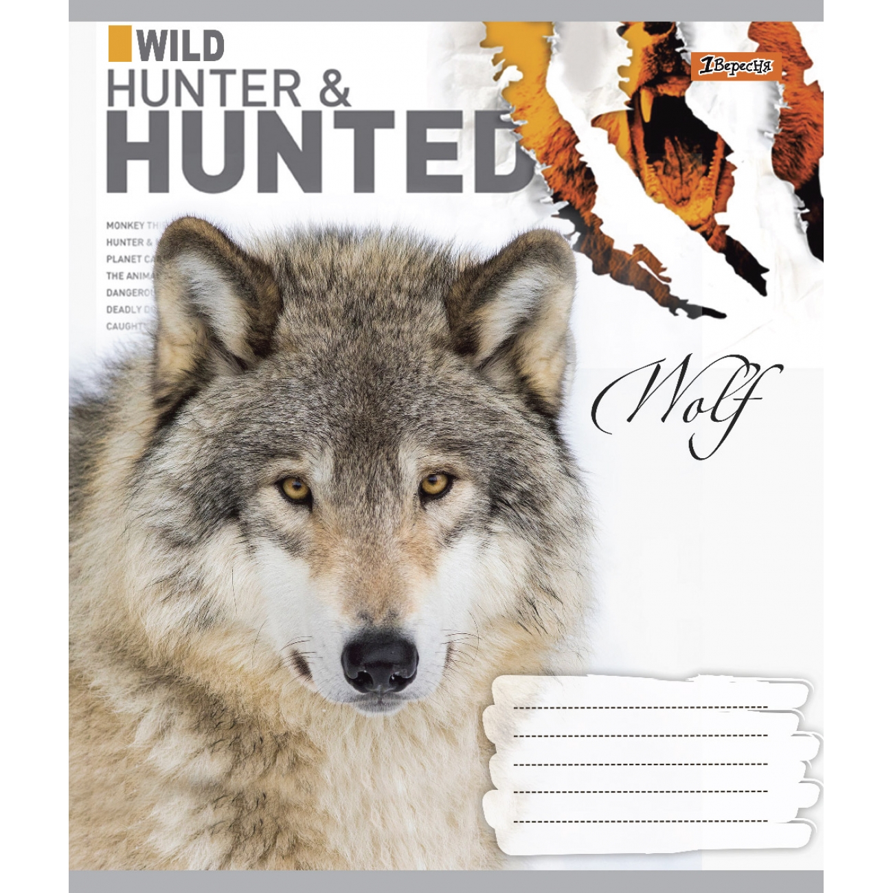 Тетрадь 48 кл. 1В Hunted, 765991 2